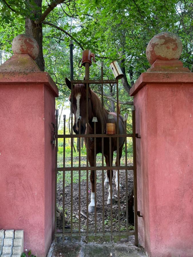 Popice Hideaway Apartman Znojmo Kültér fotó